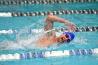 Swimming & Diving vs Babson  Swimming & Diving vs Babson College. - Photo by Keith Nordstrom : Wheaton, Swimming